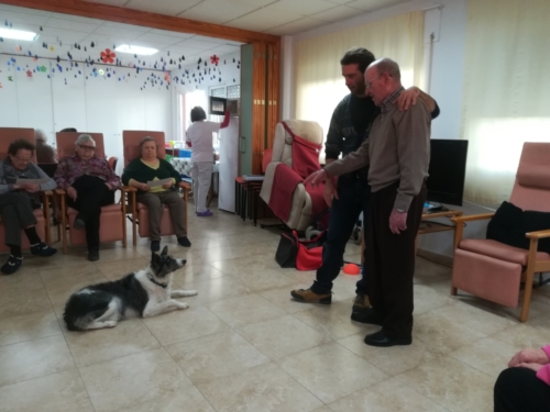 Programa de terapia canina conjunta SED Mensajeros de la Paz Murcia San Javier 2